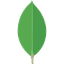 MongoDB Logo